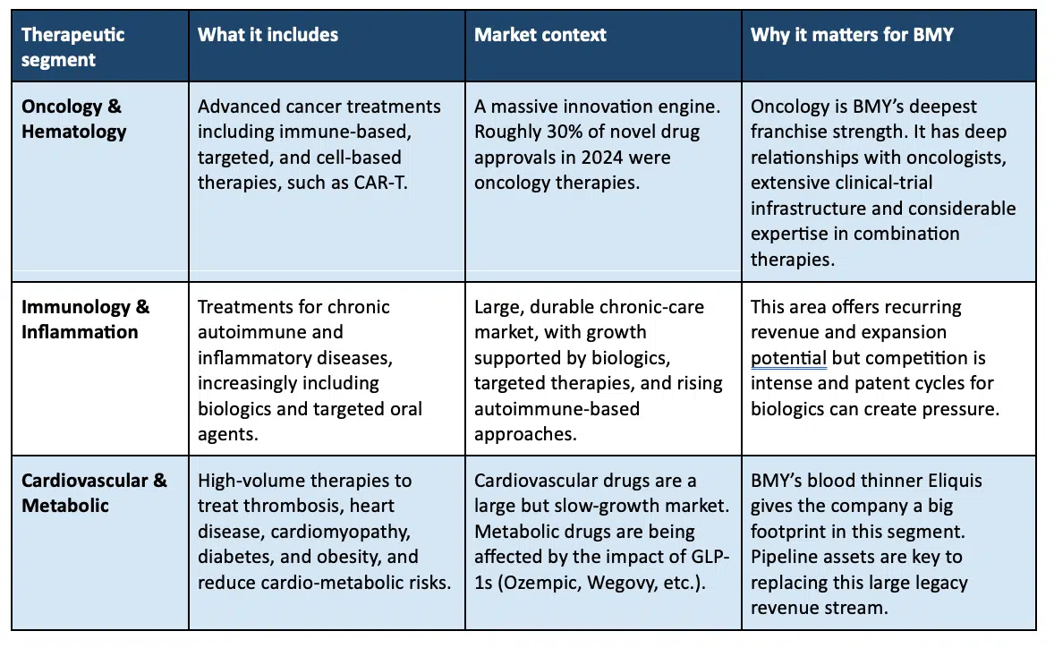 BMY therapeutic segments: Oncology & Hematology, Immunology & Inflammation, and Cardiovascular & Metabolic, with what each includes, market context, and why it matters for BMY